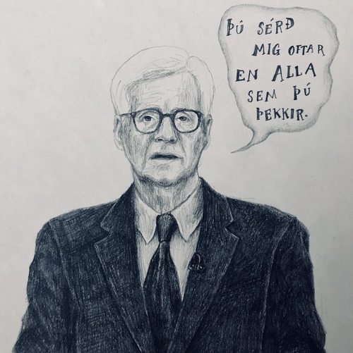 Mynd af frá Reykjavík Review-teyminu.