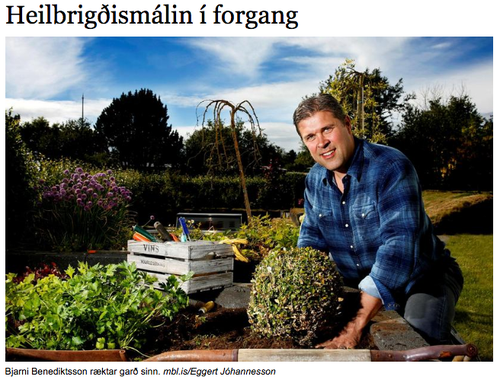Bjarni Benediktsson í garðinum sínum. (skjáskot af mbl.is)
