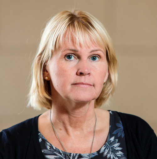 Steinunn J. Kristjánsdóttir