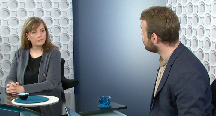 Svandís Svavarsdóttir