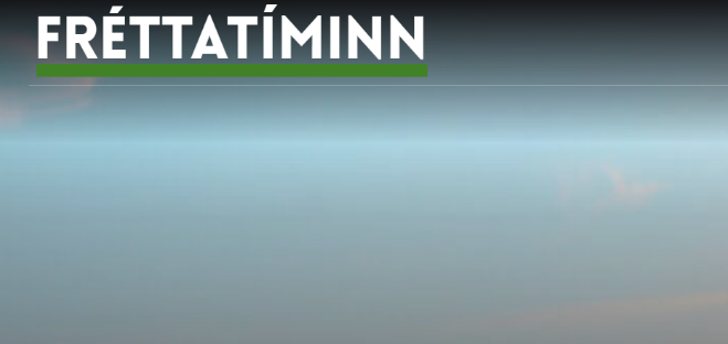 fréttatíminn