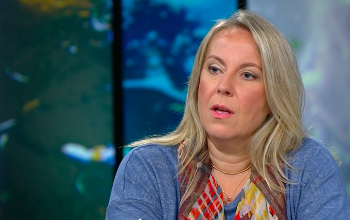 Sigríður Andersen, þingmaður Sjálfstæðisflokks.