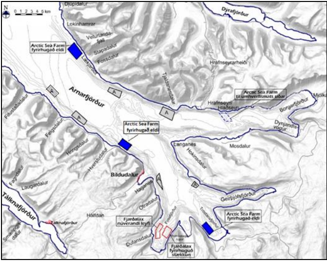 Eldissvæði Arctic Sea Farm hf. sem tilkynnt eru hér til umhverfismats eru blálituð. Fyrirhuguð og núverandi eldissvæði Arnarlax eru afmörkuð með svörtum línum og bókstafnum A. Núverandi og fyrirhuguð eldissvæði Fjarðalax í Fossfirði eru afmörkuð með rauðum útlínum. Mynd: Matsskýrsla