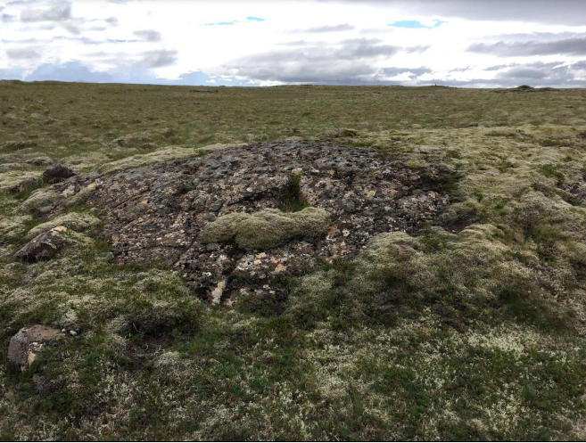 Vindorkugarðurinn yrði beggja vegna Nesjavallavegar á tiltölulega sléttu landi sem er vaxið mosa og grösum að mestu leyti. Mynd: Úr tillögu að matsáætlun