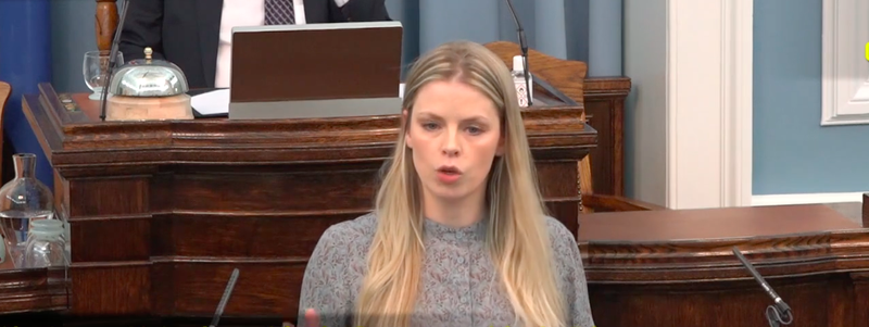 Arndís Anna Krístinardóttir Gunnarsdóttir þingmaður Pírata. Mynd: Skjáskot/Alþingi