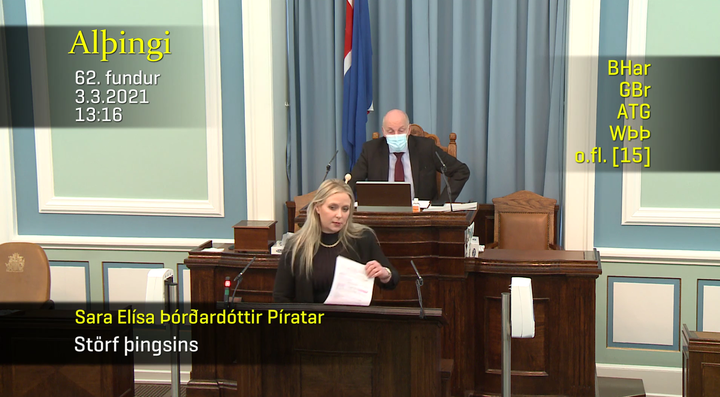 Sara Elísa Þórðardóttir skjáskot Alþingi