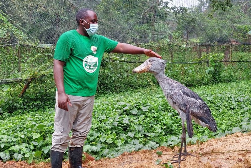 Sushi skónefur fær klapp á kollinn frá Roland. Mynd: Sunna Ósk Logadóttir