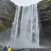Ferðamenn við Skógafoss.