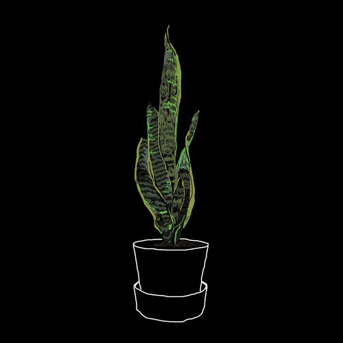 Plötuumslag Skrifstofuplöntu.