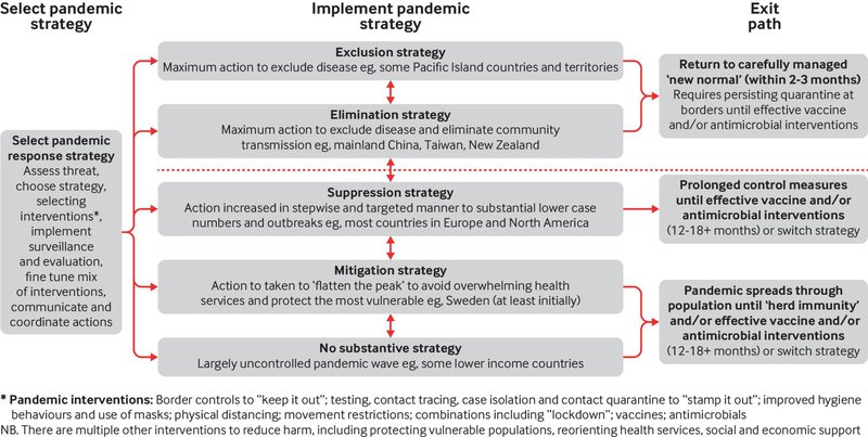 Skýringarmynd úr grein vísindamannanna úr Eyjaálfu um þær mismunandi leiðir sem hægt er að fara í glímunni við veiruna. Mynd: Af vef BMJ.