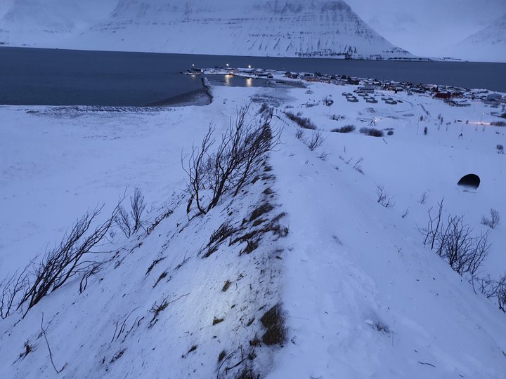 Horft niður með eystri leiðigarðinum yfir farveg snjóflóðsins úr Skollahvilft sem rann út höfnina við Flateyri. Sjá má hvernig flóðið hefur brotið gróður þegar það streymdi með garðinum. Ummerki um skriðstefnu flóðsins meðfram toppi garðsins má sjá í snjó