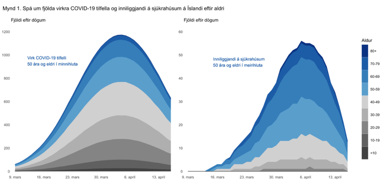 Mynd: Skjáskot covid.hi.is
