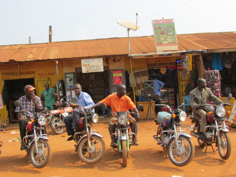 Bodar bíða í röðum eftir kúnnum. Mynd: Sunna Ósk Logadóttir