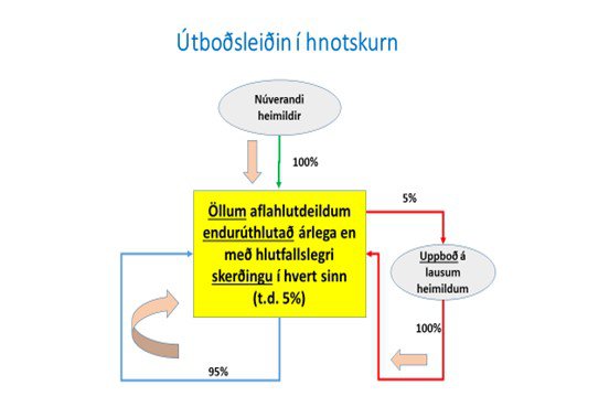 Meðfylgjandi mynd sýnir endurúthlutun á 95% aflamarks fyrra árs til einstakrar útgerðar. Vilji útgerðin halda í allar þær aflaheimildir sem hún hafði árið áður þá tekur hún þátt í útboðinu og sækist eftir að fá þau 5% sem hana ella mundi vanta til að njóta sama aflamarks og árið áður.