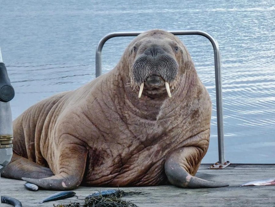 Náttúrustofa Suðausturlands Valli