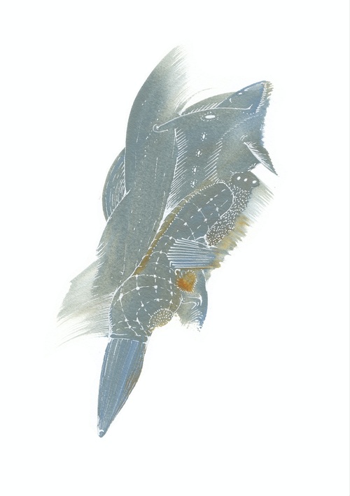 Vinningstillaga - „Glitur hafsins“