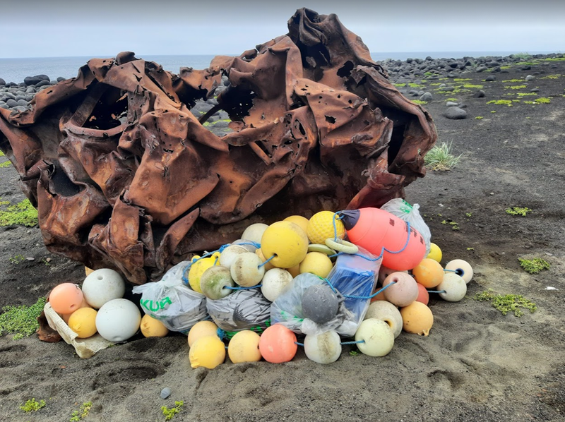 Vöktun í Surtsey 2021 Mynd: Umhverfisstofnun