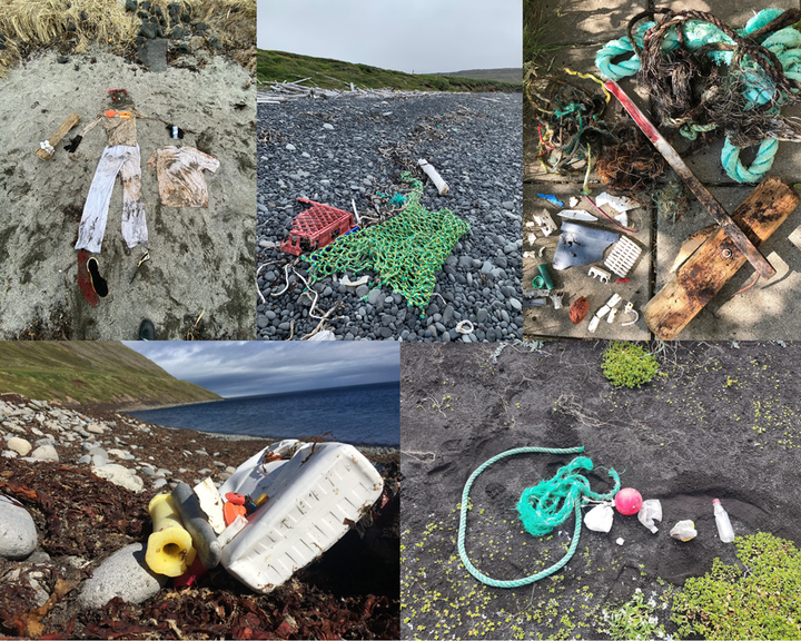 Vöktun stranda 2021 Mynd: Umhverfisstofnun