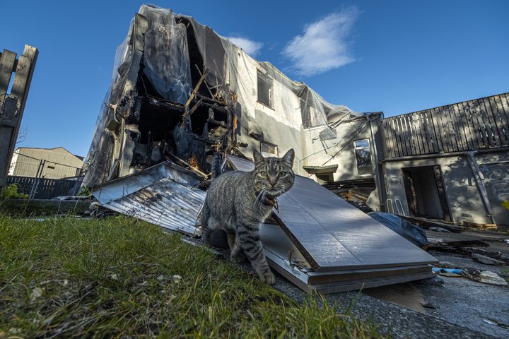 Bræðraborgarstígur 1 Mynd: Golli