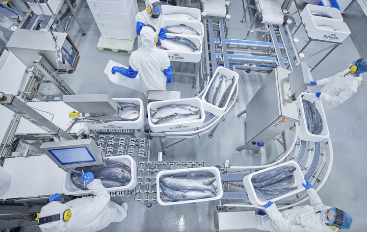 Verðið á laxi hefur hækkað um tæp sex prósent á milli vikna síðustu tvo mánuðina.