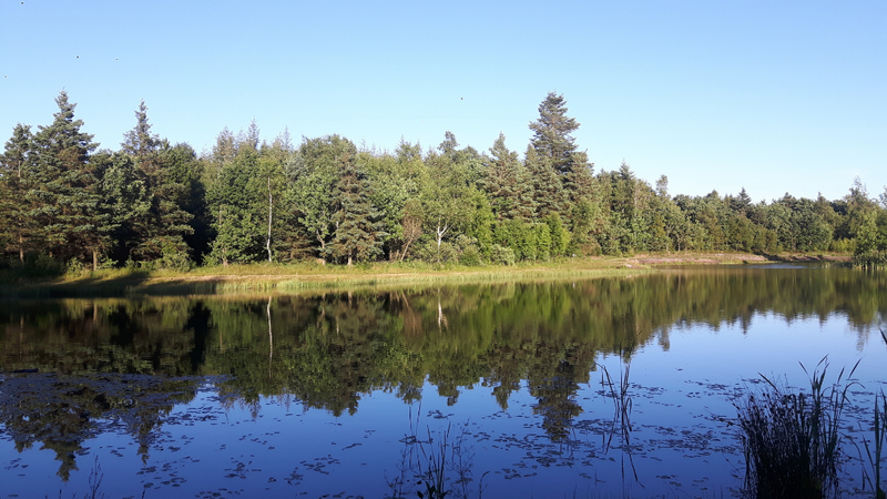 Boutrup Sø er vinsælt útivistarsvæði og jafnvel baðstaður á góðviðrisdögum. Mynd: Holstebro Turistbureau