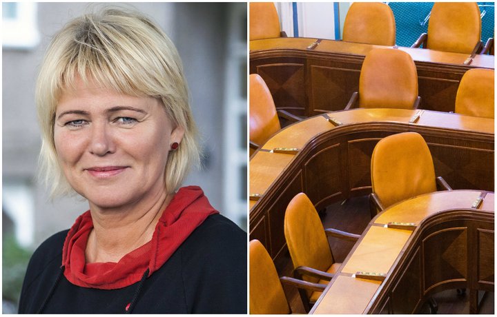 Oddný Harðardóttir Alþingi
