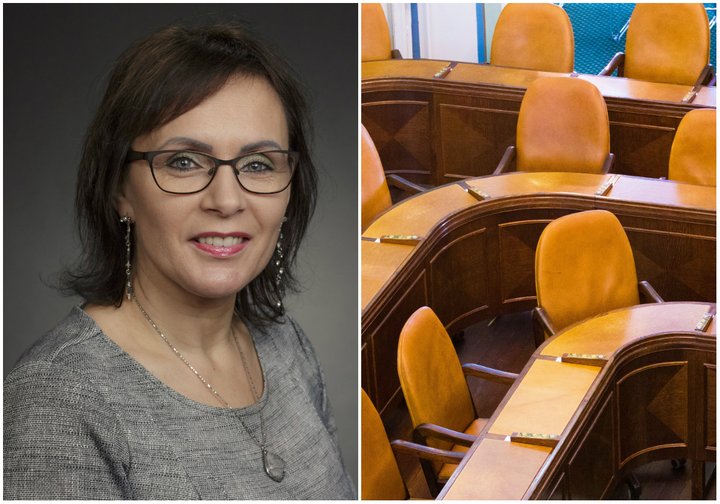 Bjarkey Olsen Gunnarsdóttir Alþingi