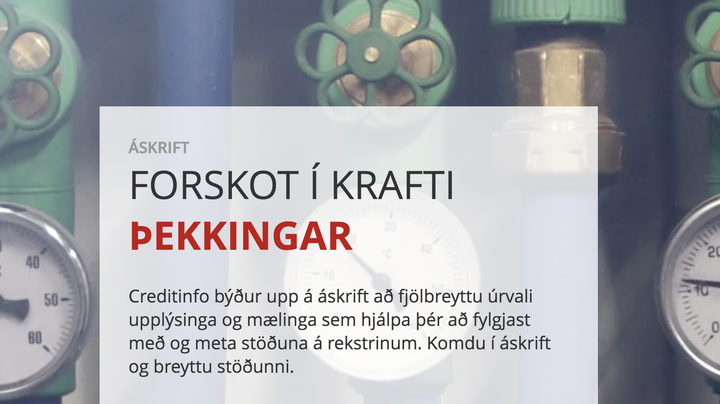 Skjáskot af vefsíðu CreditInfo