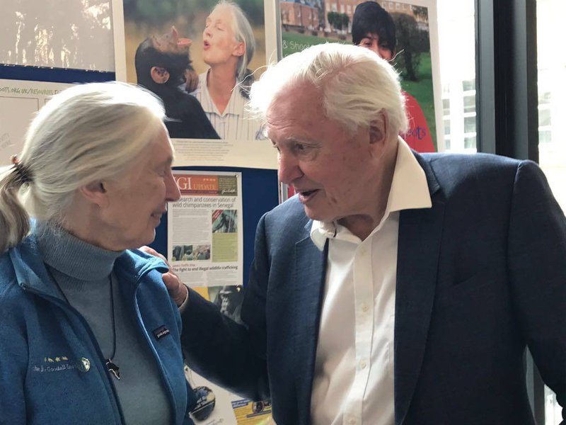 David Attenborough og Jane Goodal. Mynd: Facebook-síða Jane Goodal.