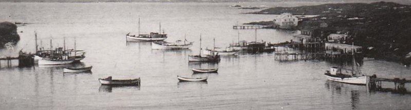 Djúpavogshöfn um miðja 20. öld. 