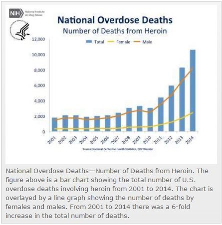 Sexfalt fleiri dóu úr of stórum skammti af heróíni í Bandaríkjunum árið 2014 en árið 2001. Tölurnar eru enn verri fyrir árið 2015 og árið í ár. Þróunin er ískyggileg. Mynd: NIH.