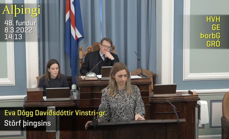 Eva Dögg Davíðsdóttir Mynd: Skjáskot/Alþingi