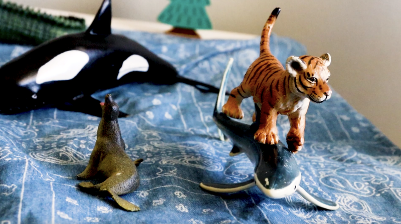 Lilli Tígur og vinir hans fara yfir vatnið. Mynd: Aðsend