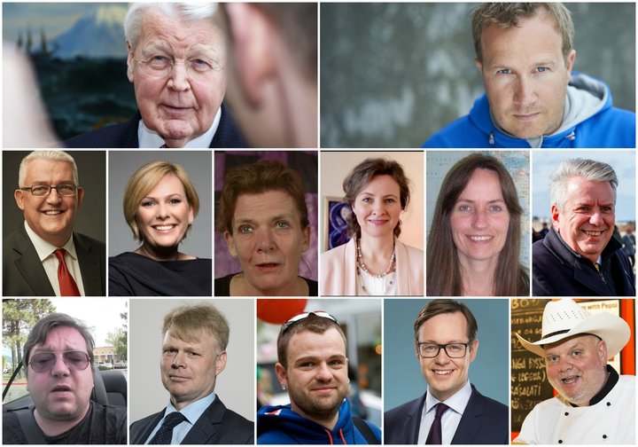 Ólafur Ragnar Grímsson, Andri Snær Magnason, Bæring Ólafsson, Halla Tómasdóttir, Elísabet Jökulsdóttir, Hildur Þórðardóttir, Guðrún M. Pálsdóttir, Ástþór Magnússon, Ari Jósepsson, Sturla Jónsson, Benedikt K. Mewes, Hrannar Pétursson og Magnús Magnússon.