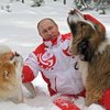 Vladimír Pútín Rússlandsforseti að leika við hunda í snjónum er vinsælt efni á hópum helstu aðdáenda hans á Facebook.