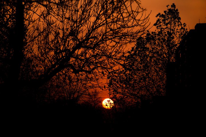 Gert er ráð fyrir að fjöldi greindra einstaklinga með virkan sjúkdóm nái hámarki í fyrstu viku apríl og verði sennilega um 1200 manns