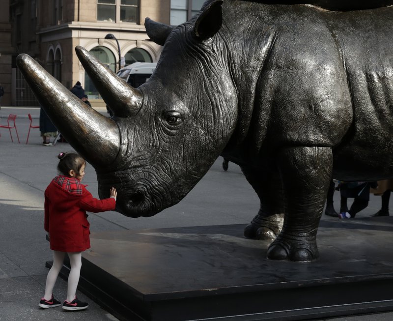 Stúlka snertir styttu af nashyrningnum Súdan í New York.