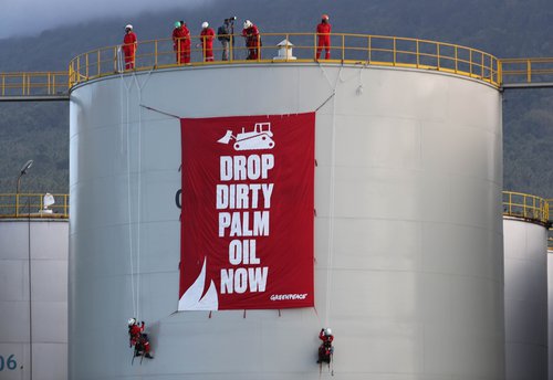 Samtökin Green Peace mótmæla framleiðslu pálmaolíu í Indónesíu. Mynd:EPA