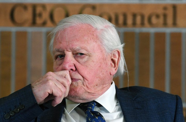 Náttúrufræðingurinn David Attenborough segir það eintóma þvælu hjá sumum stjórnmálamönnum að eldarnir í Ástralíu tengist ekki loftslagsbreytingum af mannavöldum.