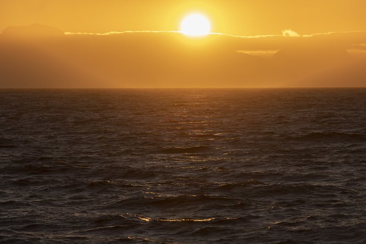 Andlát vegna COVID-19 á Íslandi eru nú orðin 31 talsins.