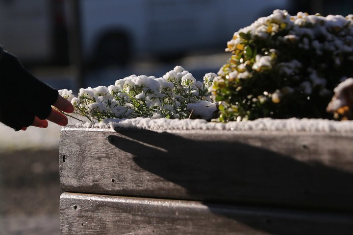 Það er erfitt að ímynda sér að það snjói í Brasilíu en snjókoma er eflaust algengari þar en ætla mætti. Þessi mynd er tekin eftir snjókomu í Brasilíu í ágúst árið 2020