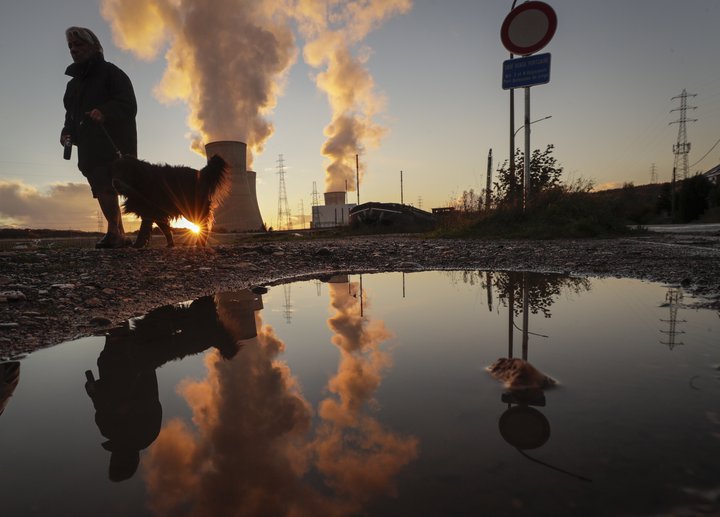 Hundar viðraðir skammt frá kjarnorkuveri í Belgíu.