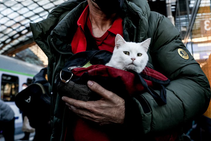 Köttur á flótta ásamt eiganda sínum. Þeir félagar flúðu frá Úkraínu til Berlínar.