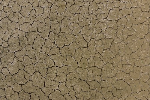 Gríðarlegir þurrkar hrjáðu gjöful landbúnaðarsvæði Evrópu í sumar. Mynd: EPA