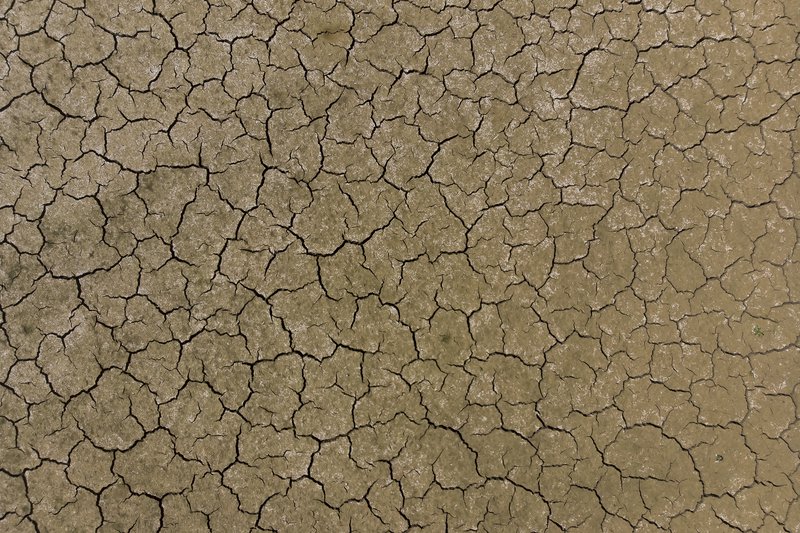 Skraufaþurr jarðvegur er víða vegna hitanna. Mynd: EPA