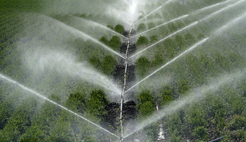 Akrar í Þýskalandi vökvaðir. Mynd: EPA