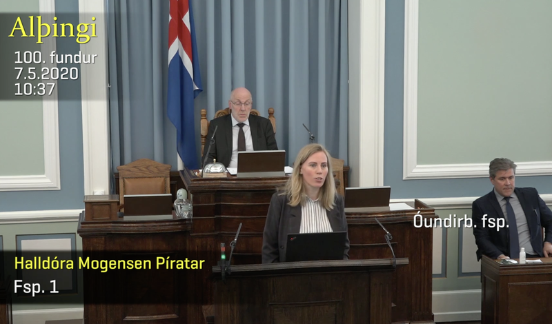 Halldóra Mogensen Mynd: Skjáskot/Alþingi