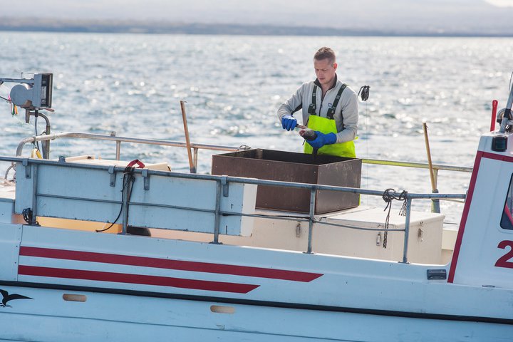 ESB keypti grænlenskan kvóta á háu verði.