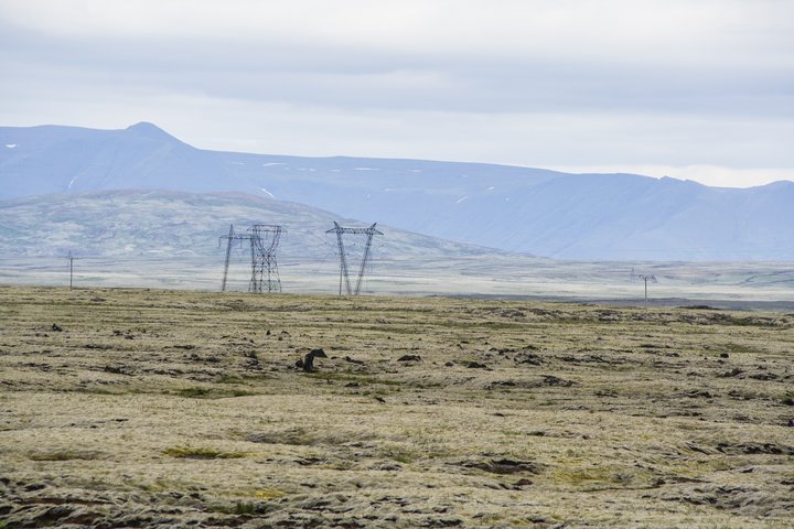 Ísland stendur sig ágætlega á sviði loftslagsmála ef eingöngu er horft á á raforkuframleiðsluna þar sem sú framleiðsla er að mestu kolefnislaus. Raforkan sé hins vegar lítill hluti af heildarmyndinni.
