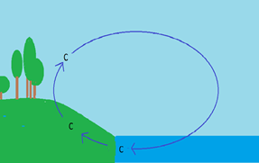 Einfölduð kolefnishringrás. Hlutfall kolefnis(C) í lofti þarf að vera stöðugt